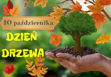 Dzień drzewa 2025