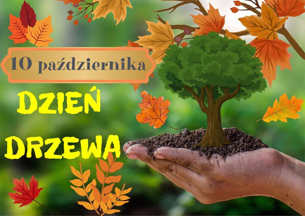 Dzień drzewa 2025