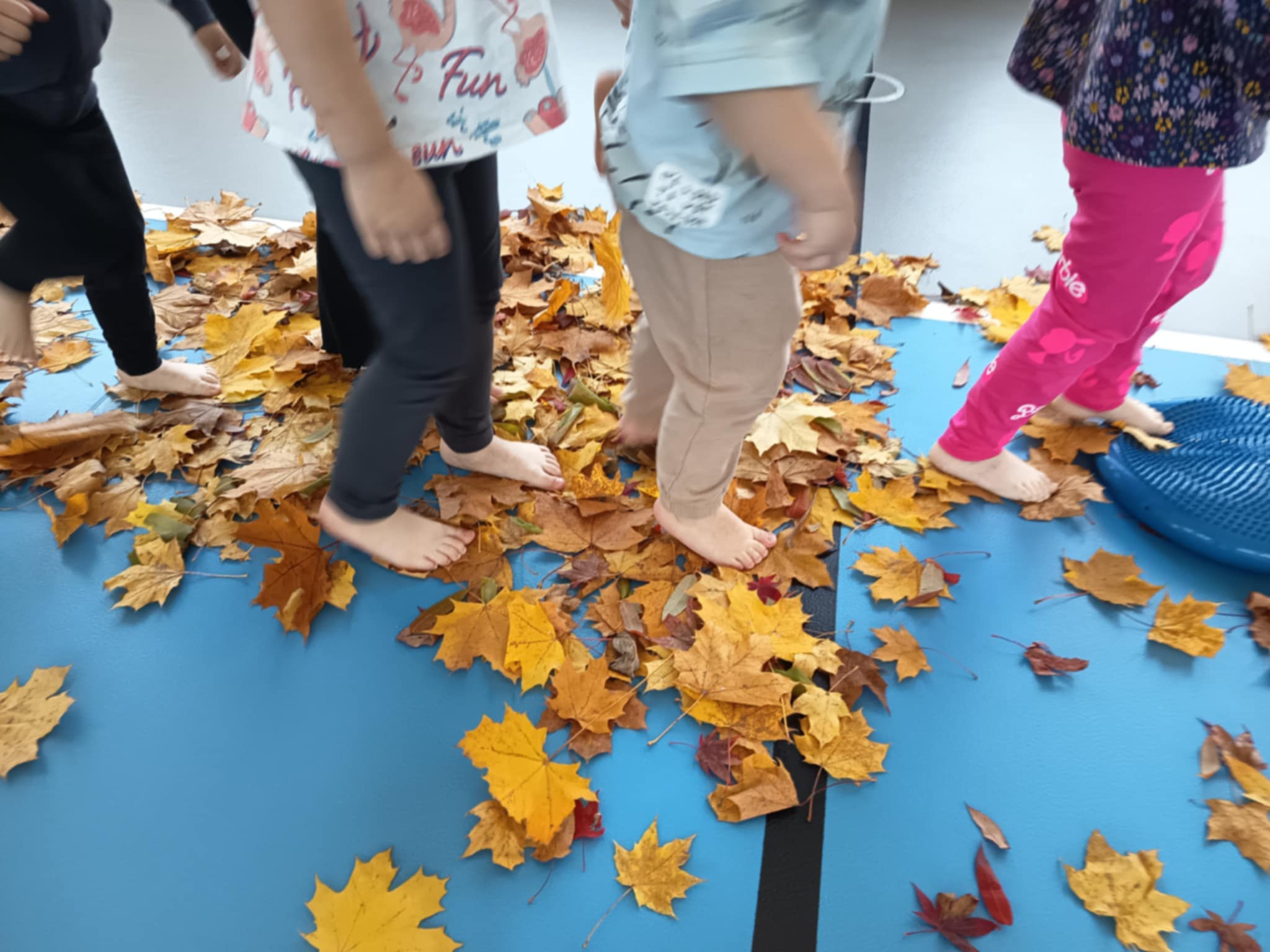 Poznajemy świat zmysłami