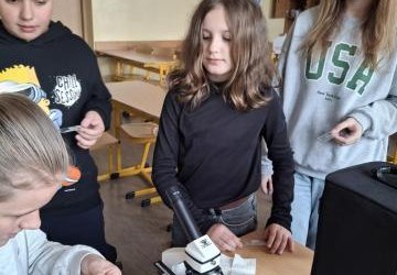 Warsztaty mikroskopowania – odkrywamy tajemnice mikroświata.