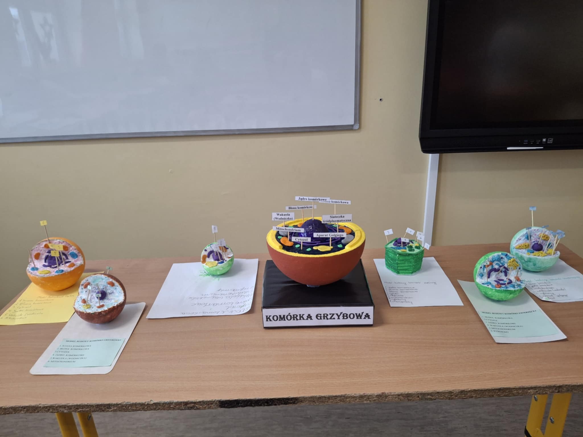 Biologia w 3D, czyli nauka przez kreatywność!