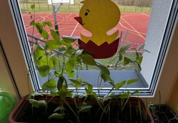 Wiosenny parapet w przedszkolu