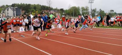 IMG_20260508_113658.jpg