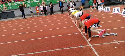 IMG_20260508_123153.jpg