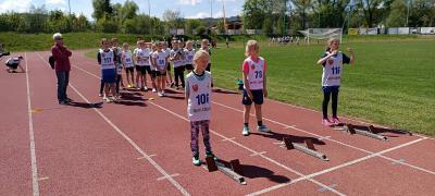 IMG_20260519_104907.jpg