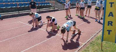 IMG_20260527_095637.jpg