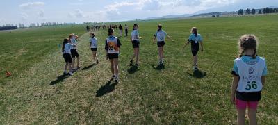 IMG_20250424_105356.jpg