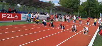 IMG_20250508_121646.jpg